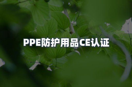 口罩防护类系列CE认证